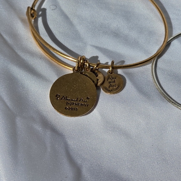 Alex & Ani Silver & Gold Tone AUNT & GODMOTHER Bracelet Mother's Day Adjustable - Picture 3 of 5